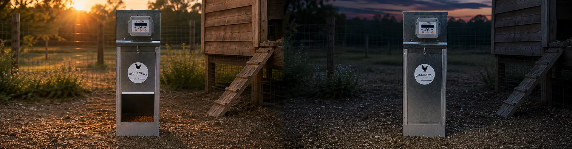 Gillandra automatic chicken feeder open at dawn and closed at dusk.
